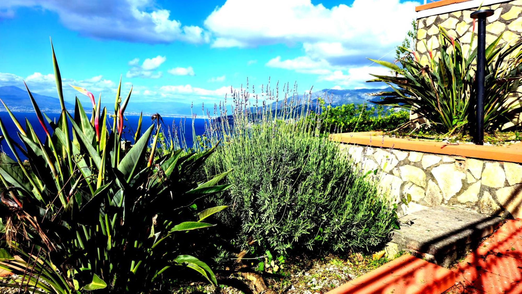 Casa vacanze Gli Occhi Del Mare Sorrento